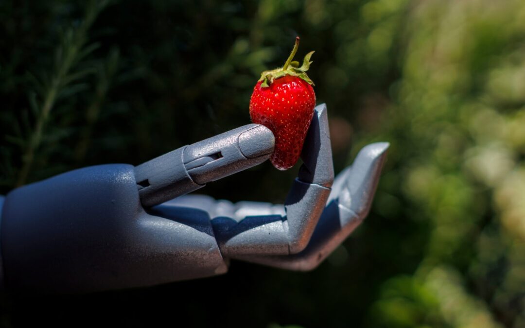 Are Non-GMO Foods Healthier Than GMO Foods?