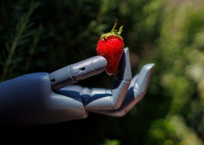 Are Non-GMO Foods Healthier Than GMO Foods?